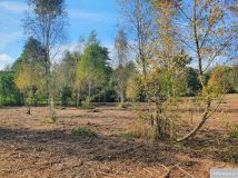 Działka rekreacyjna Franciszków. Zdjęcie 1