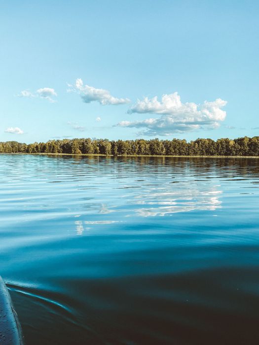 Działka leśna Elganowo. Zdjęcie 7