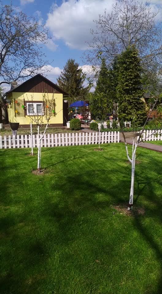 Działka rod Wrocław Osobowice, ul. Krotoszyńska. Zdjęcie 8