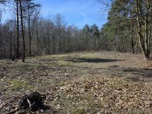 Działka rolno-budowlana Swoboda. Zdjęcie 3