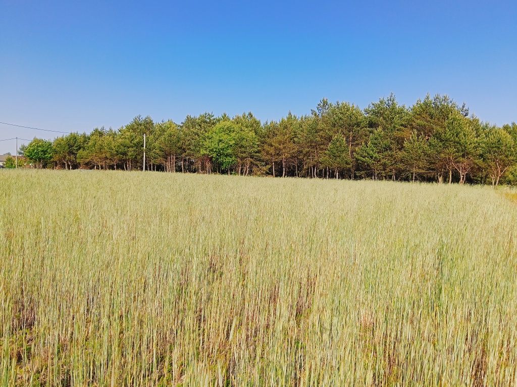 Działka budowlana Zamość. Zdjęcie 2