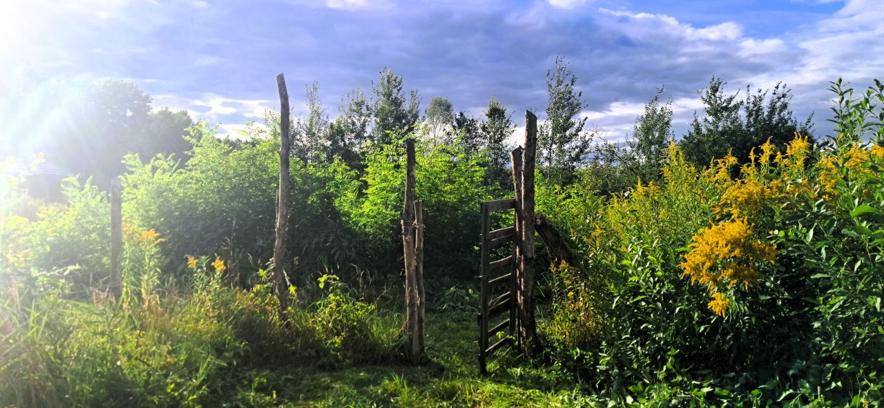 Działka budowlana Budy-Grzybek, ul. Alpejska. Zdjęcie 10
