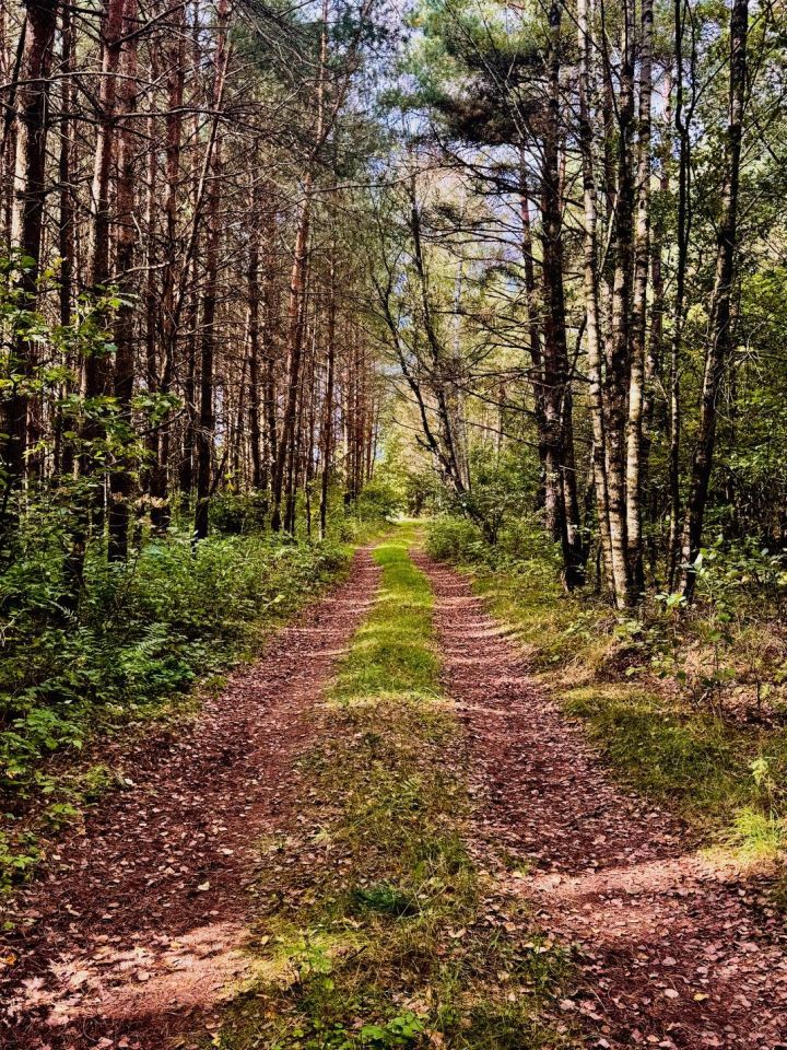 Działka rolna Nitki. Zdjęcie 15
