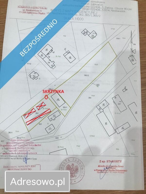 Działka siedliskowa Niedźwiednik. Zdjęcie 4