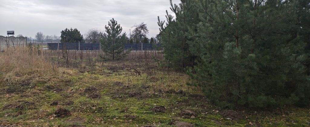 Działka budowlana Szczytniki Duchowne. Zdjęcie 3