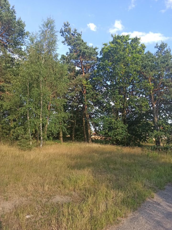 Działka rolno-budowlana Kurowice Kurowice Bankowe, ul. Brzezińska. Zdjęcie 5