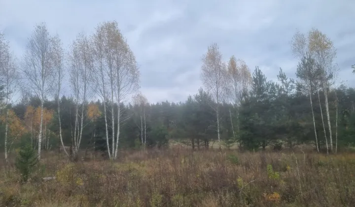 Działka budowlana Czarna Białostocka, ul. Brzozowy Mostek
