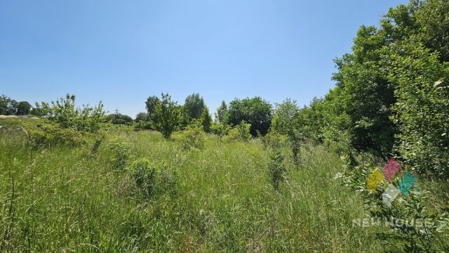 Działka Rukławki. Zdjęcie 6