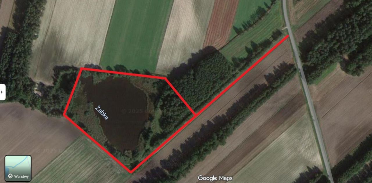 Działka rolna Krzywanice. Zdjęcie 5