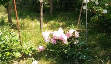 Działka rod Warszawa Paluch, ul. Kinetyczna