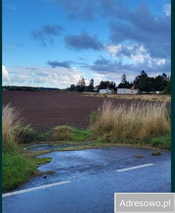 Działka rolna Paprotno. Zdjęcie 3