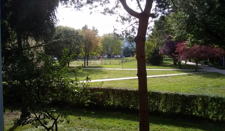 Mieszkanie 3-pokojowe Świdnica, ul. Emilii Plater