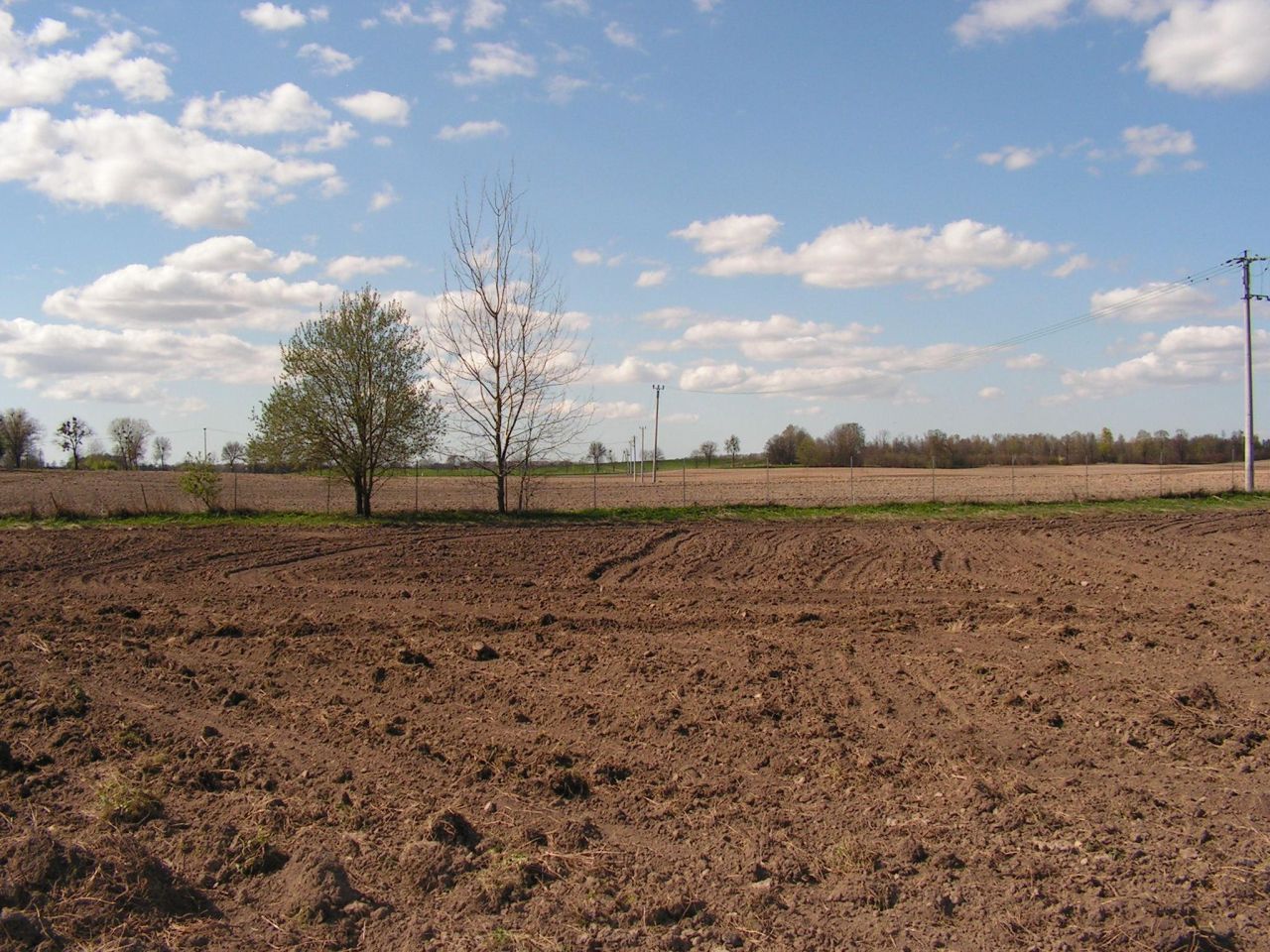 Działka inwestycyjna Bezledy. Zdjęcie 18