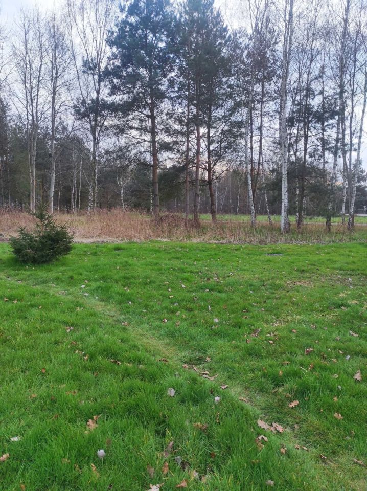 Działka budowlana Chorzelów. Zdjęcie 5