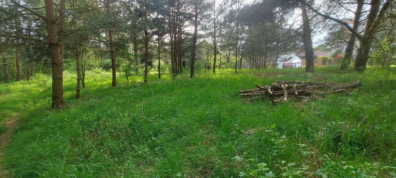 Działka budowlana Kaźmierzów. Zdjęcie 8