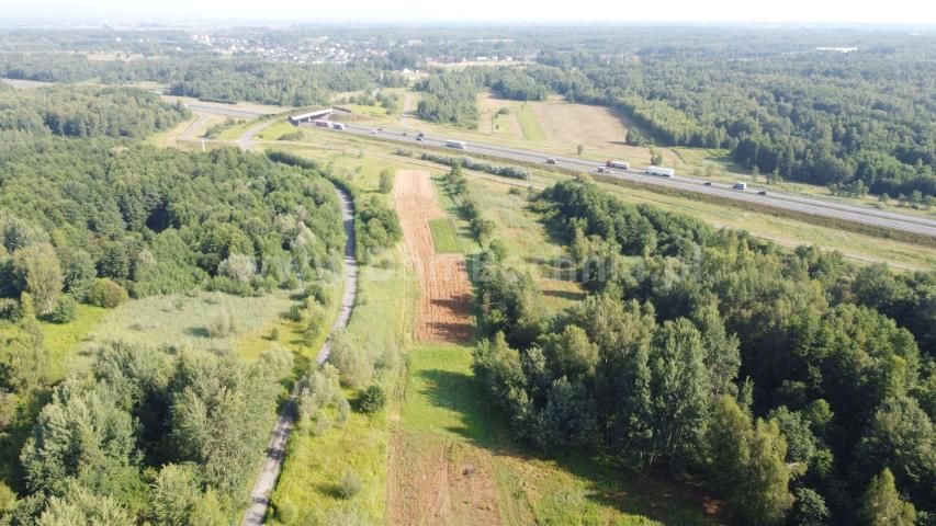 Działka rolno-budowlana Jodłówka. Zdjęcie 8