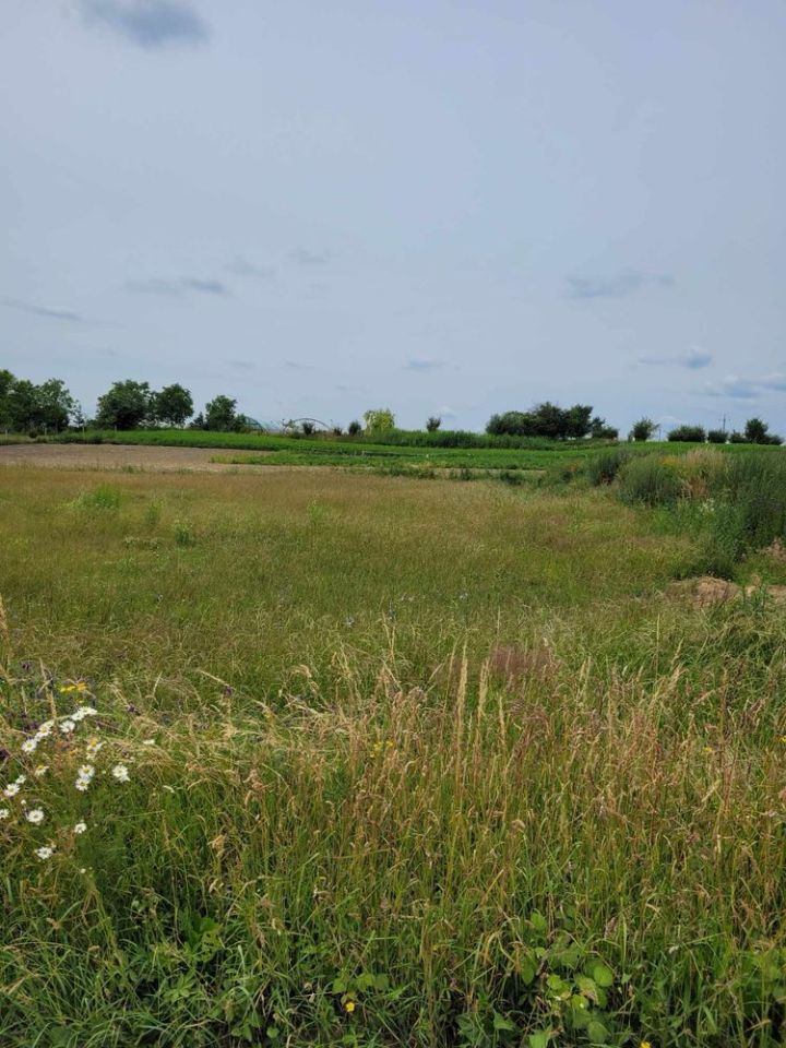 Działka budowlana Przysieka Polska. Zdjęcie 4