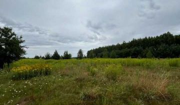 Działka rolno-budowlana Żeliszew Duży