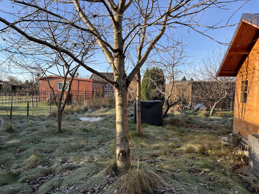 Działka rod Gdynia Oksywie. Zdjęcie 7