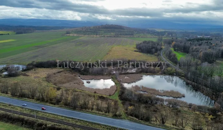 Działka rolna Krzewie Wielkie