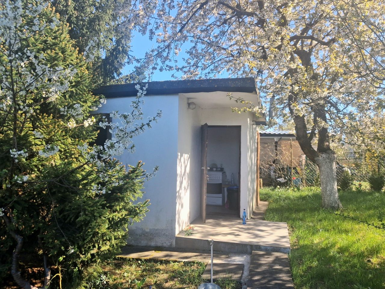 Działka rekreacyjna Lubin, Rod lubczyk. Zdjęcie 8