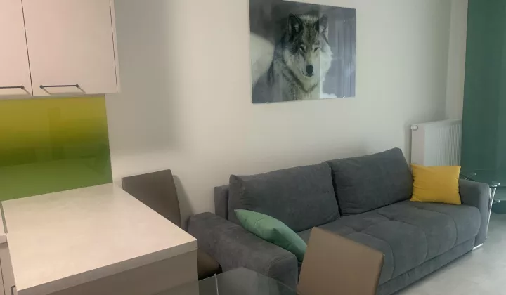 Mieszkanie 4-pokojowe Warszawa Wola, ul. Gumińska