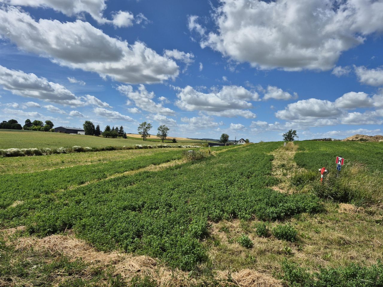 Działka budowlana Stanisławie. Zdjęcie 6