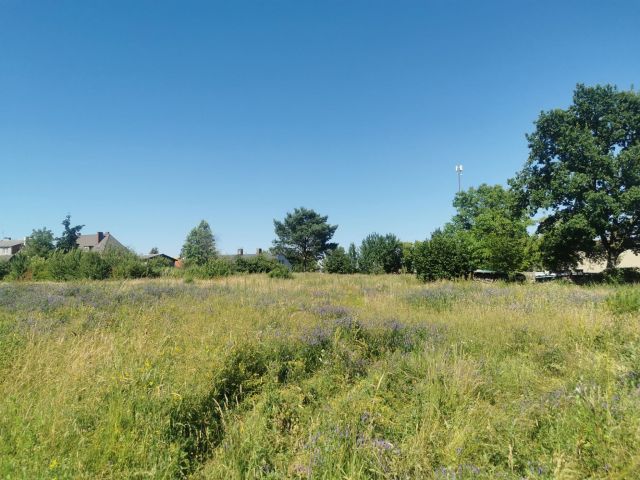 Działka budowlana Lipka. Zdjęcie 15