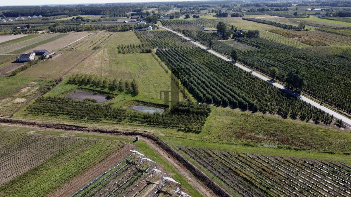 Działka rolna Boglewice. Zdjęcie 7