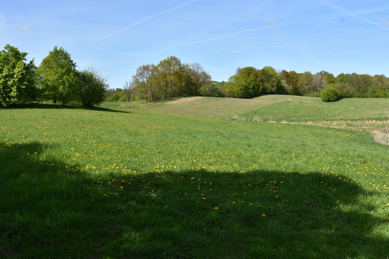 dom wolnostojący, 5 pokoi Ścienne. Zdjęcie 34