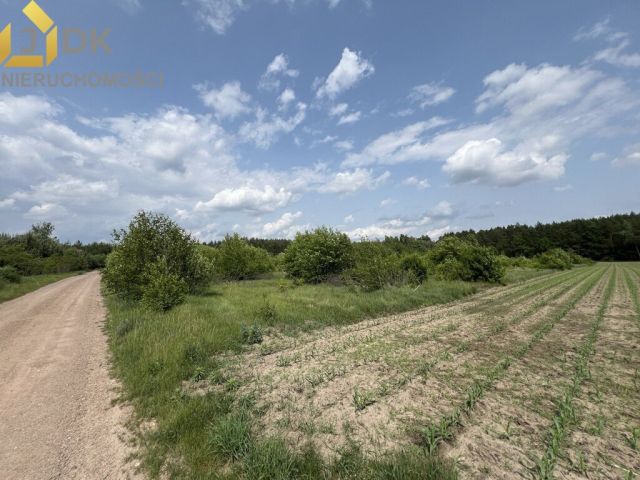 Działka rolna Marysin. Zdjęcie 7