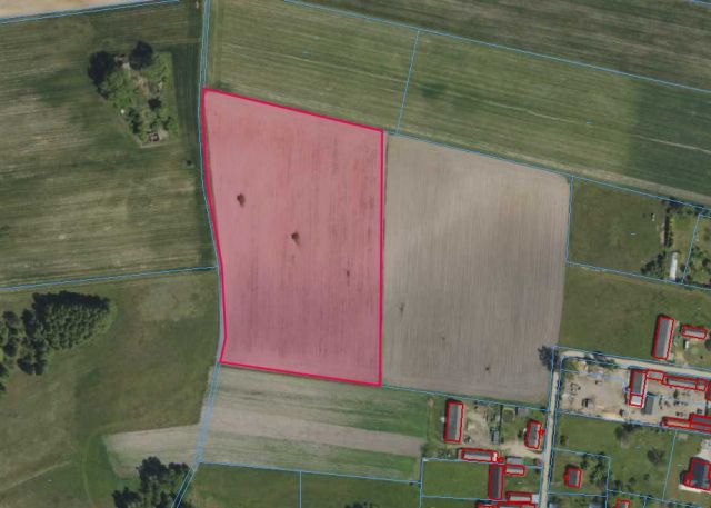 Działka rolna Borowskie Żaki. Zdjęcie 1