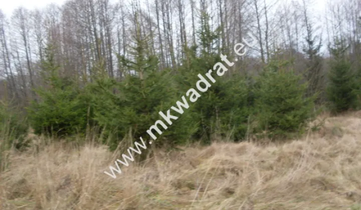 Działka rolna Korabiewice