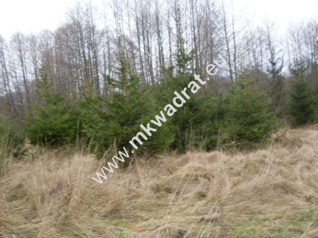 Działka rolna Korabiewice. Zdjęcie 1