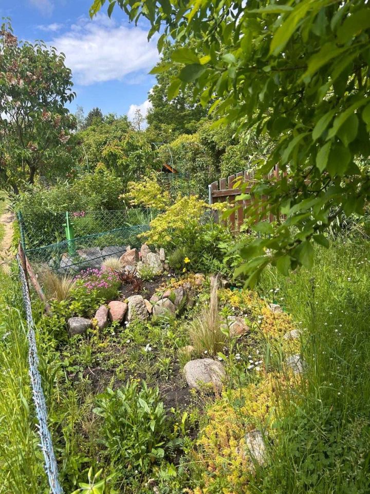 Działka rod Wrocław Ołtaszyn. Zdjęcie 5