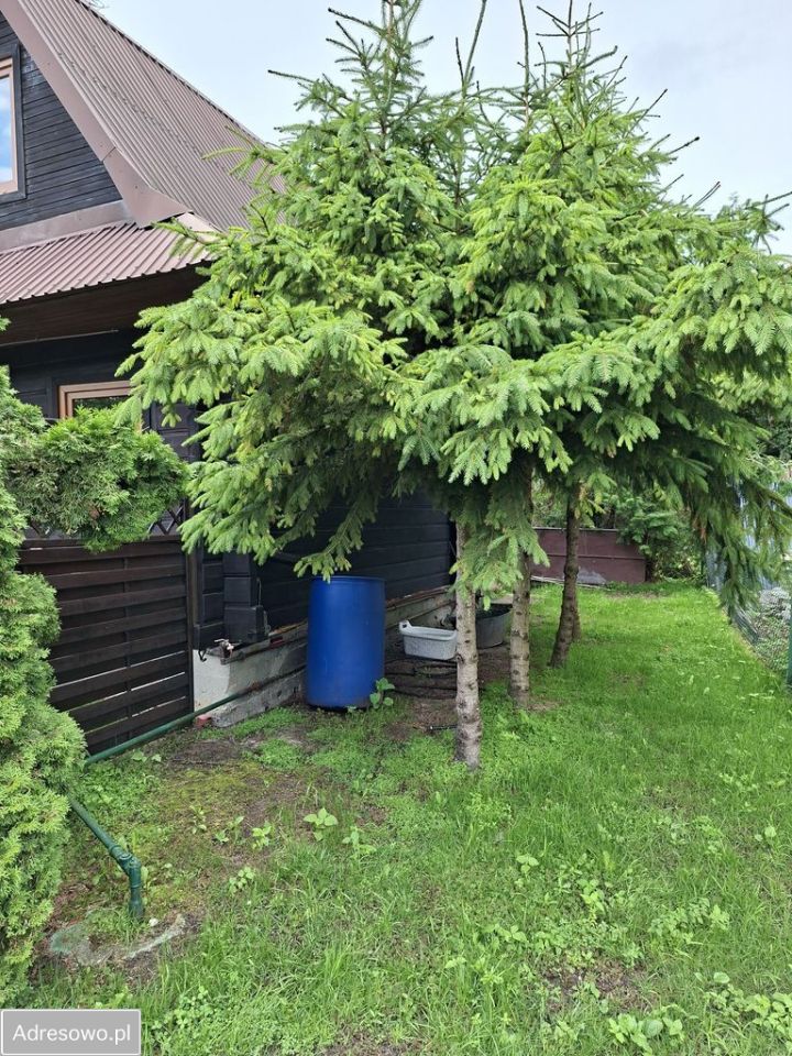Działka rod Augustów, ul. Armii Krajowej. Zdjęcie 18