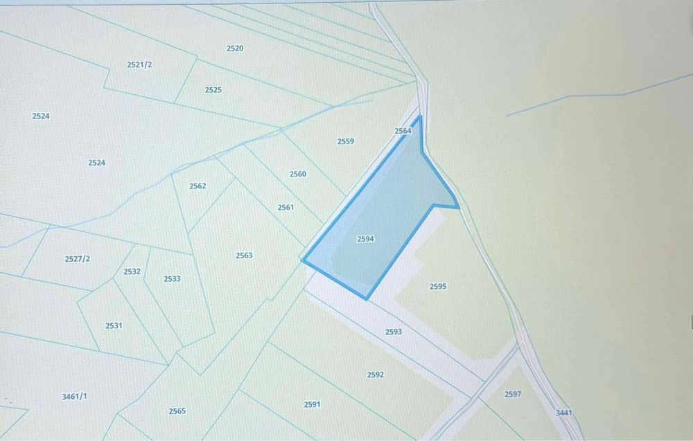Działka Drohobyczka. Zdjęcie 2