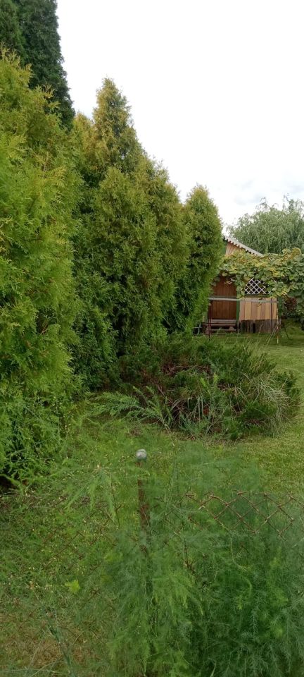 Działka rod Radom Glinice, ul. Odrodzenia. Zdjęcie 2