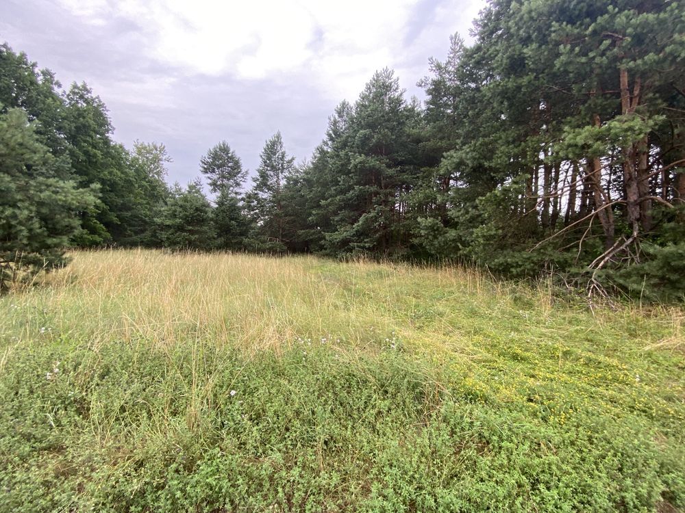 Działka budowlana Zawiercie Bzów