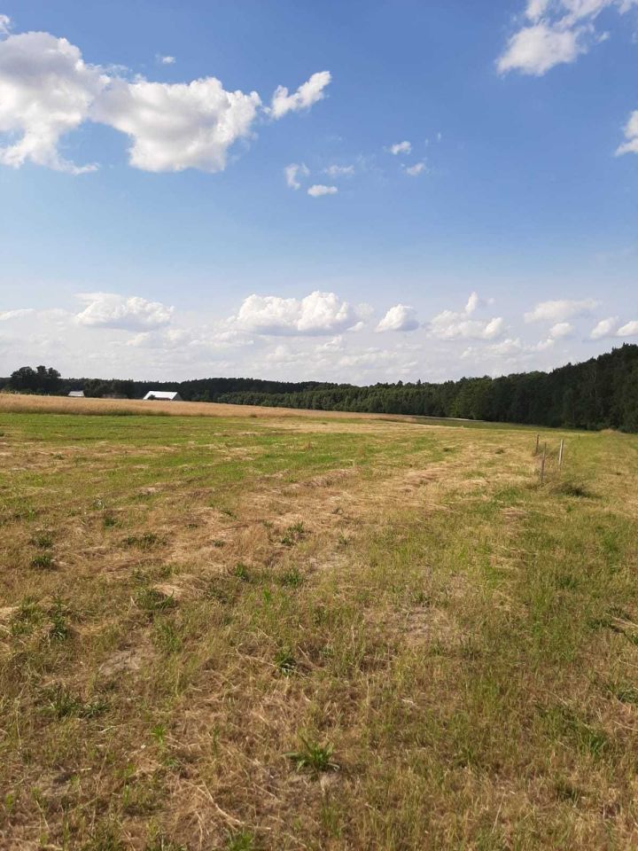 Działka budowlana Siedlików. Zdjęcie 6