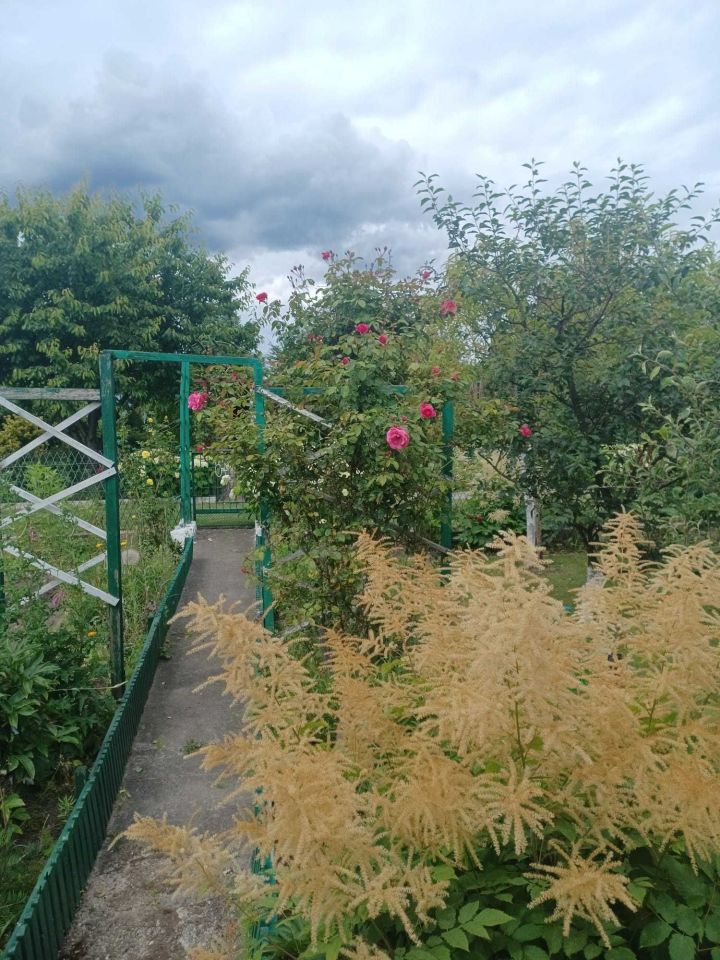 Działka rod Lubin. Zdjęcie 8