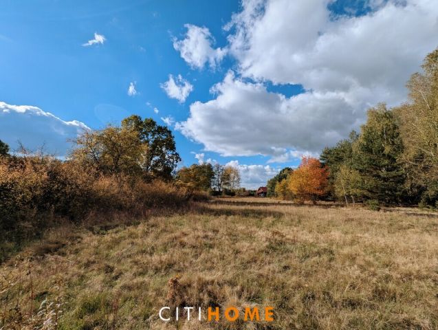 Działka siedliskowa Czarnowiec. Zdjęcie 1