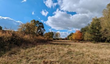 Działka siedliskowa Czarnowiec