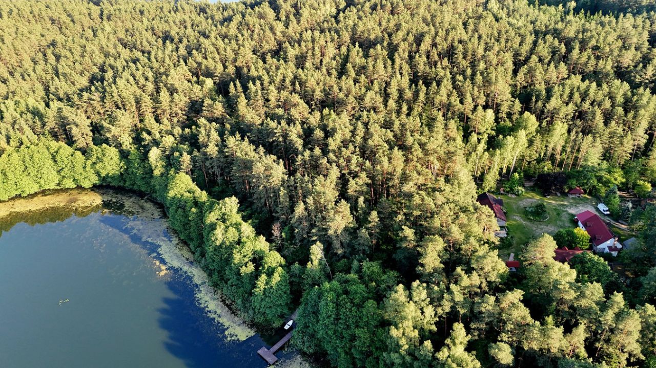 siedlisko Lipowo Kurkowskie. Zdjęcie 8