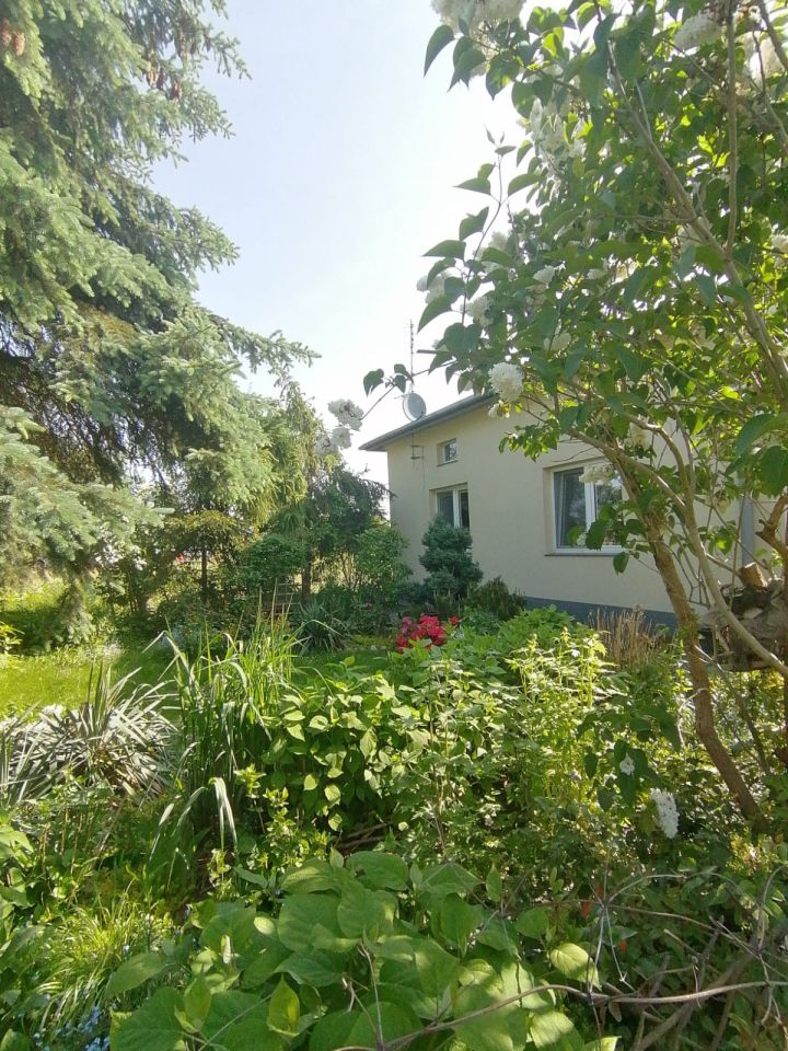 dom wolnostojący, 5 pokoi Michałów Grabina. Zdjęcie 2