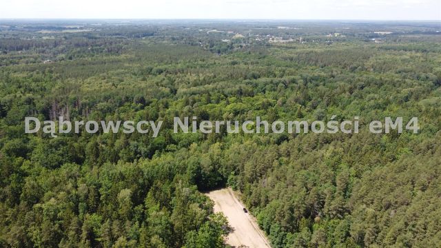 Działka Niewodnica Kościelna, Wrzosowa. Zdjęcie 2