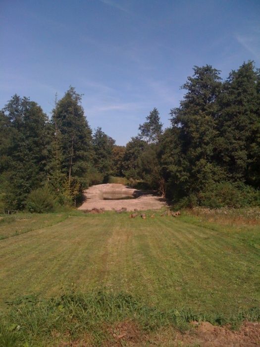 Działka rolno-budowlana Babsk, ul. Kwiatowa. Zdjęcie 4