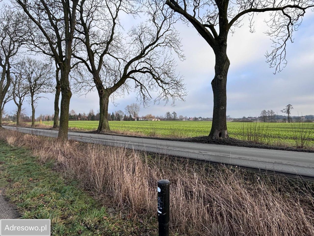 Działka inwestycyjna Iława, ul. Zalewska. Zdjęcie 6