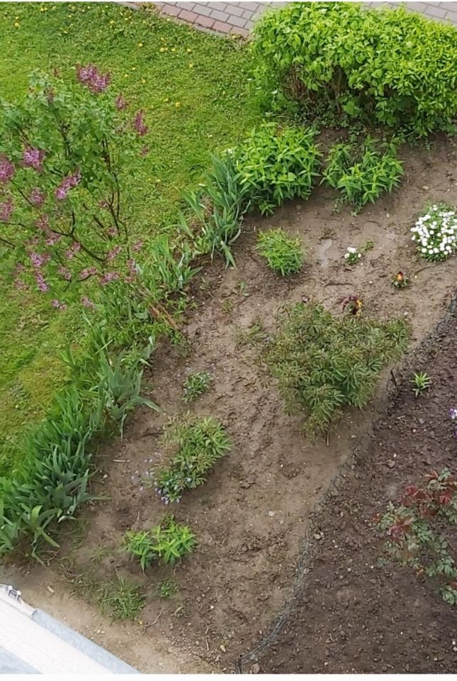 Mieszkanie 3-pokojowe Tolko. Zdjęcie 13