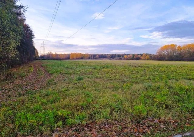 Działka inwestycyjna Kosewko. Zdjęcie 2